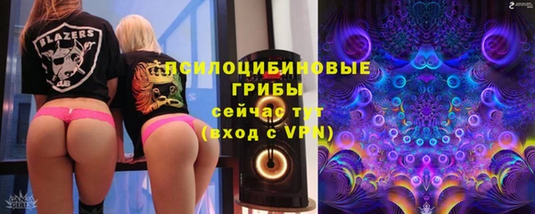 стафф Приозерск