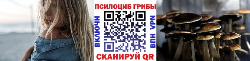 Купить  Набережные Челны  Галлюциногенные грибы Psilocybe 